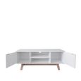 Shard 2 Door TV Unit - White and Oak