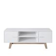 Shard 2 Door TV Unit - White and Oak