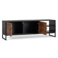 Venedocia TV Unit - 2 Door - Mango Wood