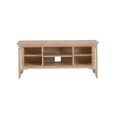 Toulon TV Unit - 2 Door - Oak
