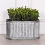 Pots, Plants & Planters