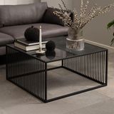 Glass and Metal Coffee Tables