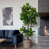 Artificial Plants