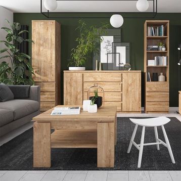 Furniture To Go Fribo