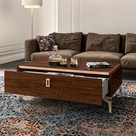 Modern Eva Walnut Italian Storage Coffee Table with Gold Trim