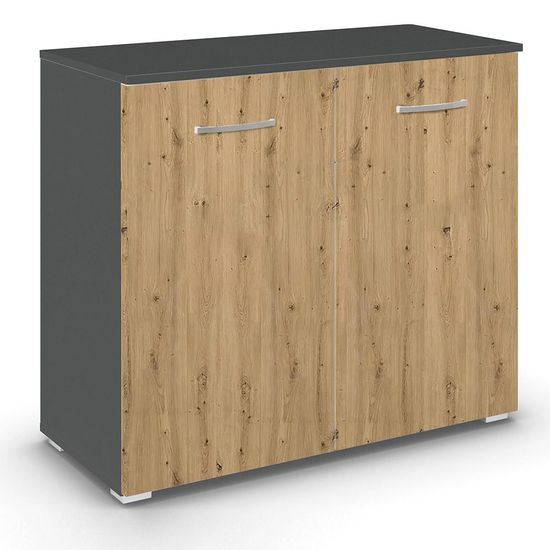 Rauch Aditio 2 Door Cupboard - Metallic Dark Grey and Artisan Oak