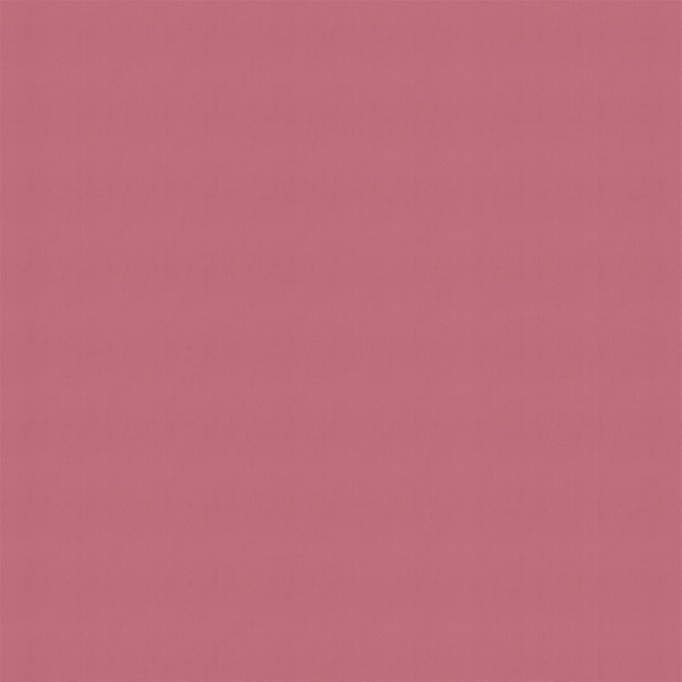 Alexa Roller Blind - Coral Pink