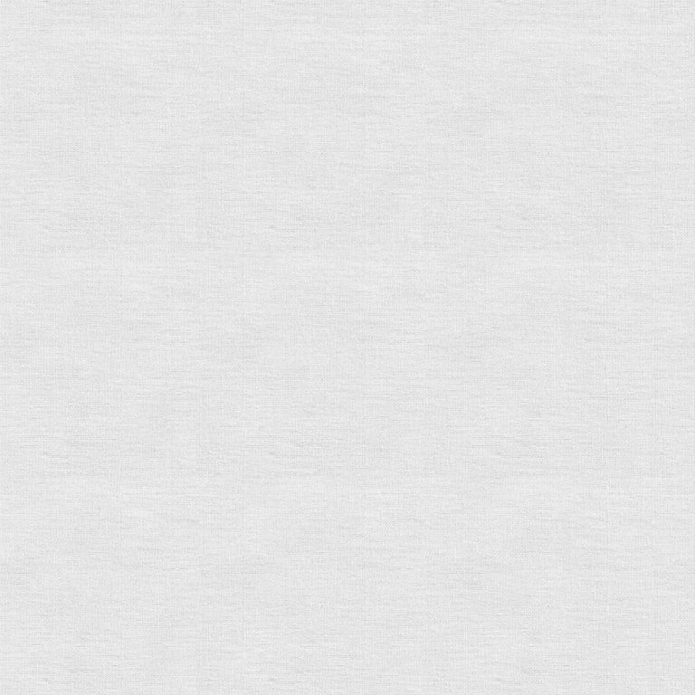 Dion Roller Blind - Fog