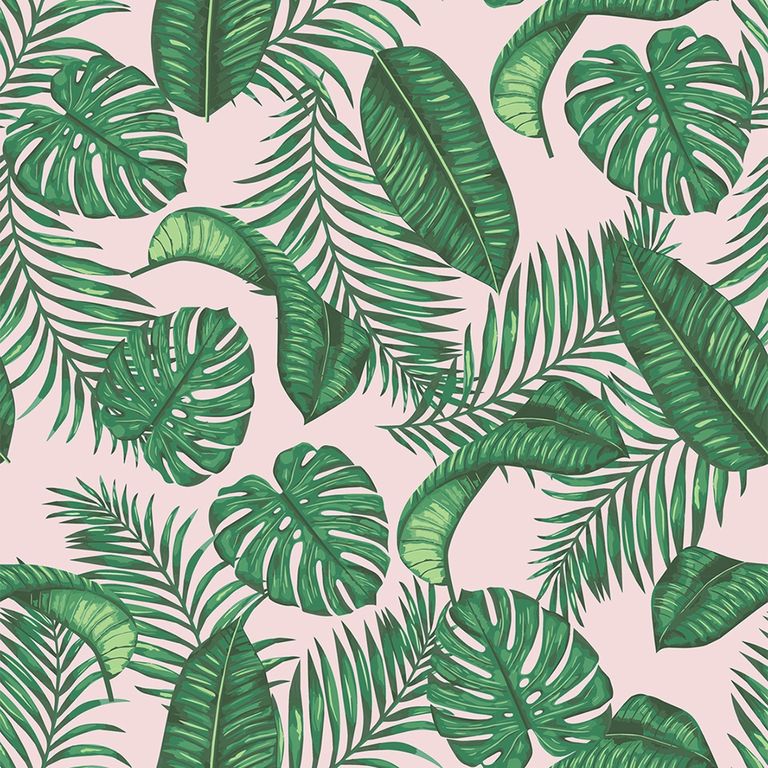 Dominica Roman Blind - Pink