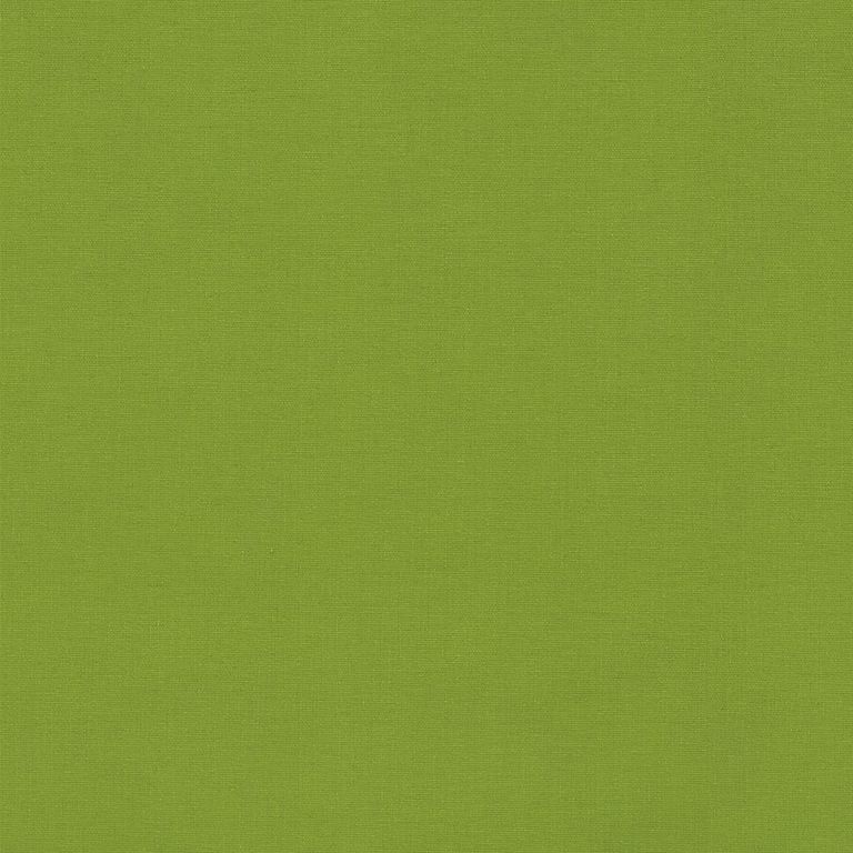 Hermoso Roller Blind - Kiwi