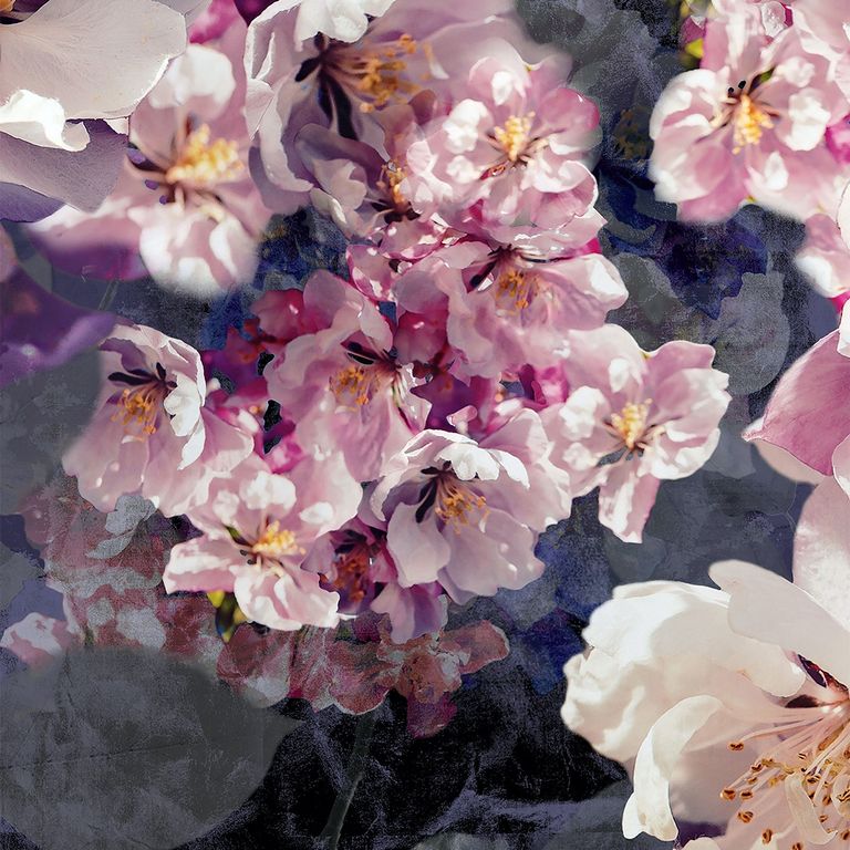 Jacob Roman Blind - Berry