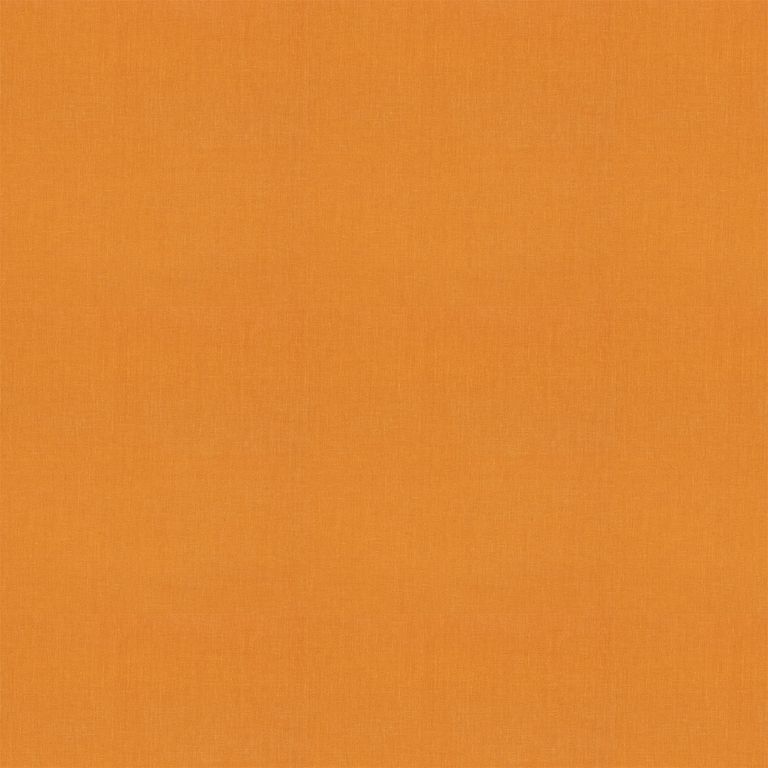 Jesse Roman Blind - Clementine