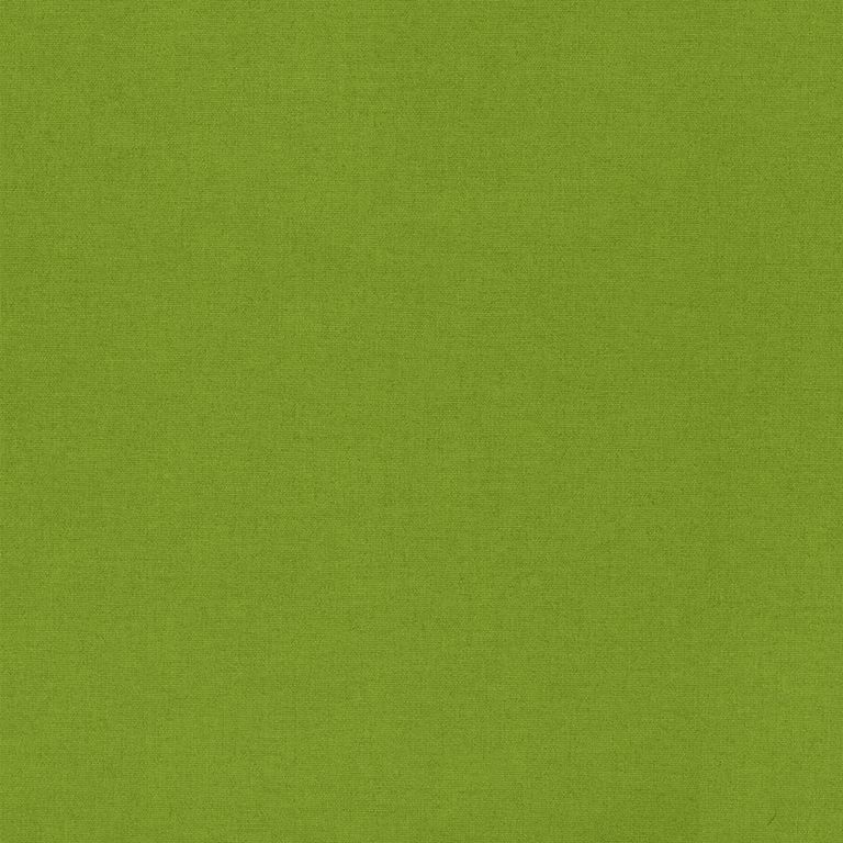 Lena Roller Blind - Kiwi