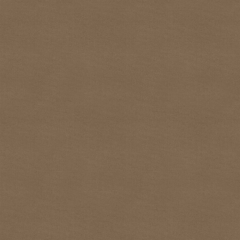 Renard Roller Blind - Coco