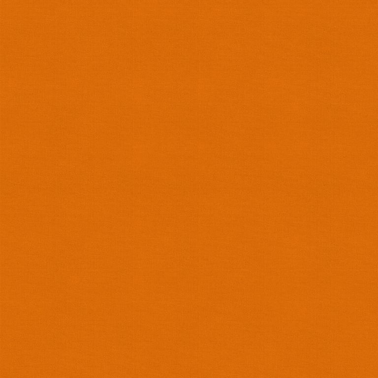 Renard Roller Blind - Orange