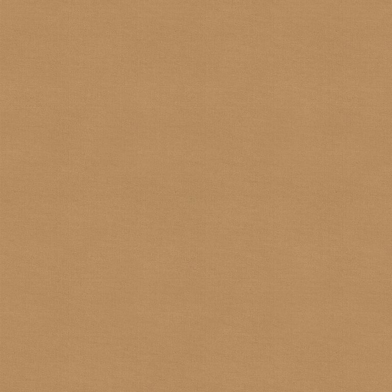 Renard Roller Blind - Tan