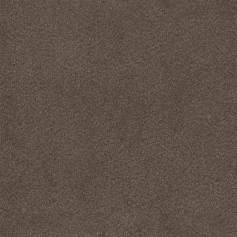 Rudiger Roman Blind - Espresso