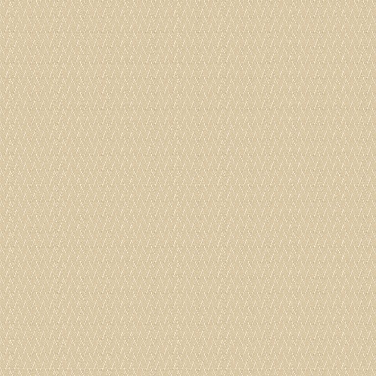Skipp Roman Blind - Champagne