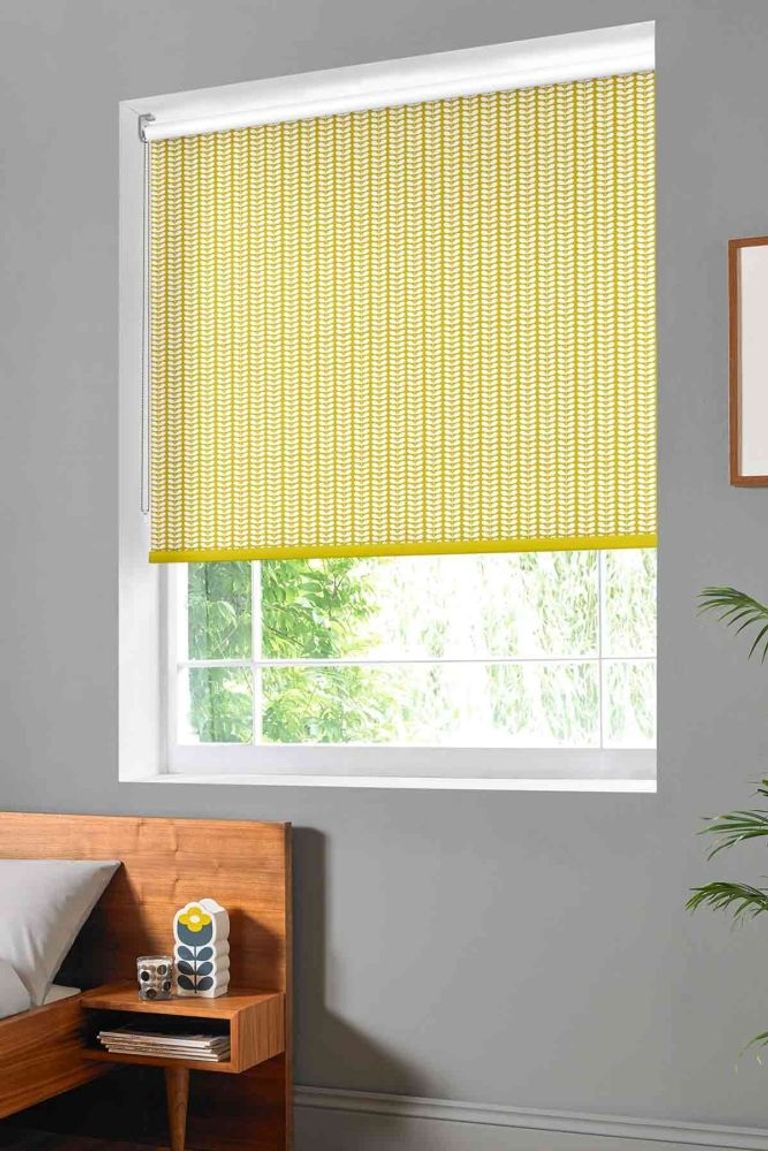 Tiny Stem Roller Blind - Zest
