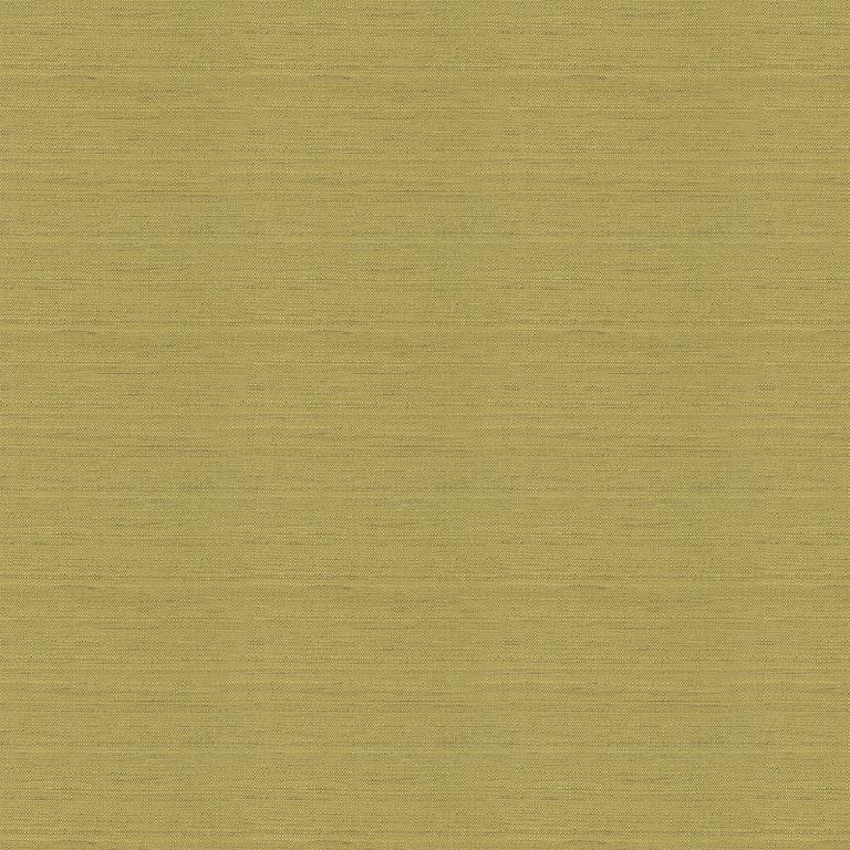 Tyson Roman Blind - Lime