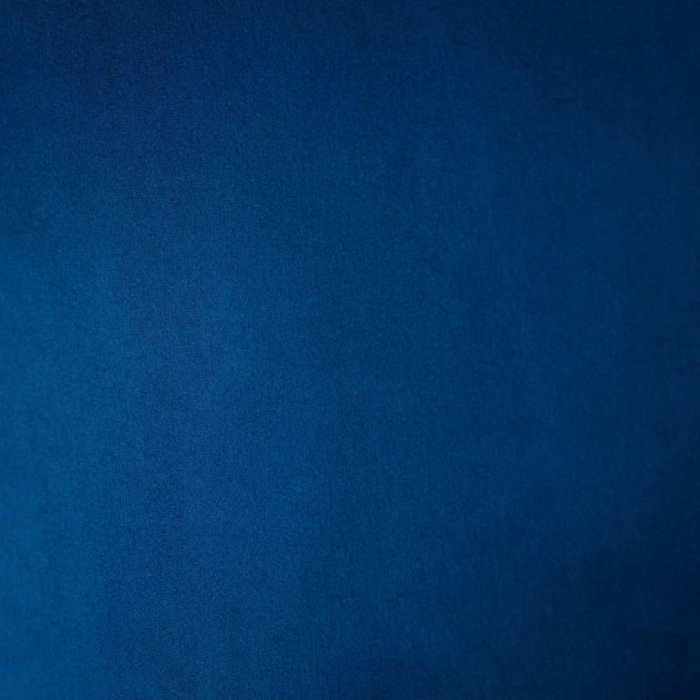 Burgess Dining Chair - Set of 2 - Blue Fabric