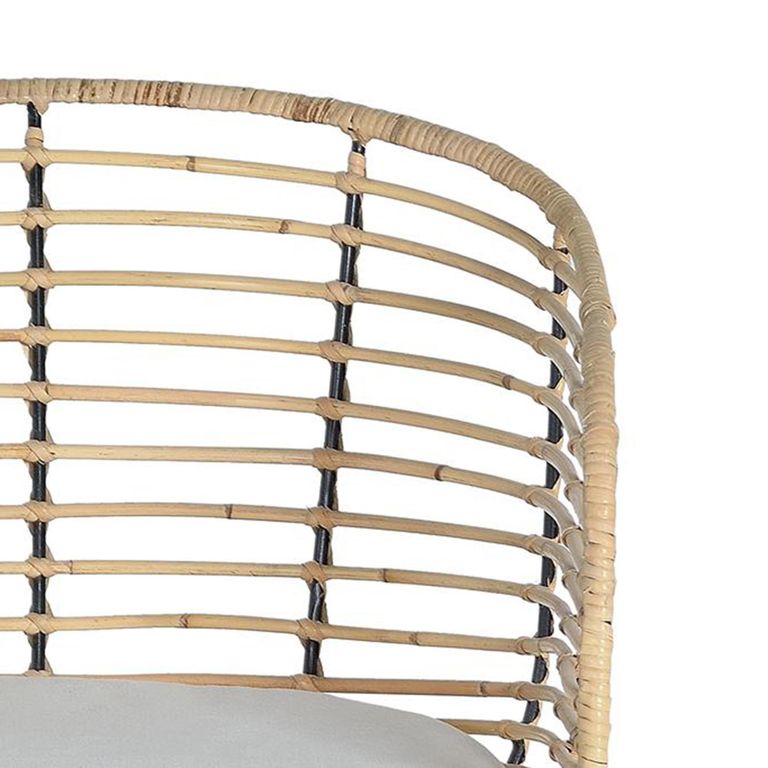 Angie Dining Chair - Rattan and Metal - Set of 2
