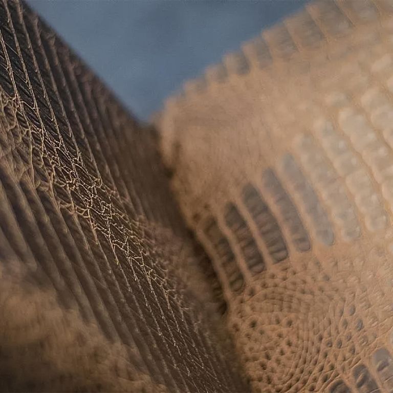 Cloe Dining Chair - Leather - Variation Available