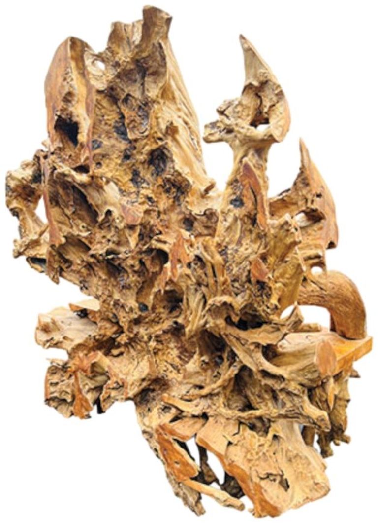 Teak Root Bench - King - with Back