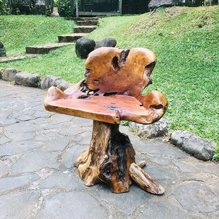 Teak Root Chair - Solid Trunk Leg