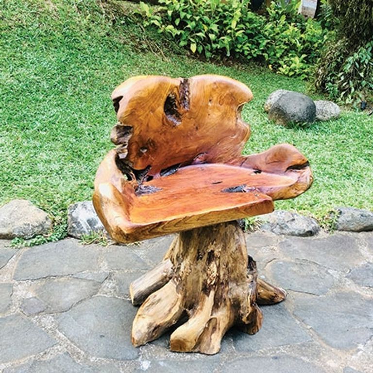 Teak Root Chair - Solid Trunk Leg