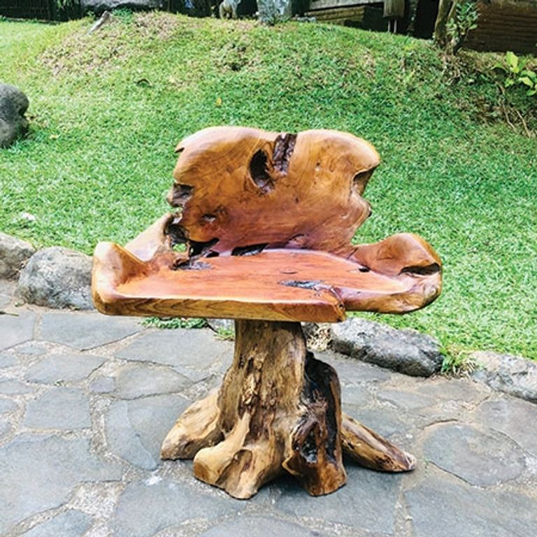 Teak Root Chair - Solid Trunk Leg