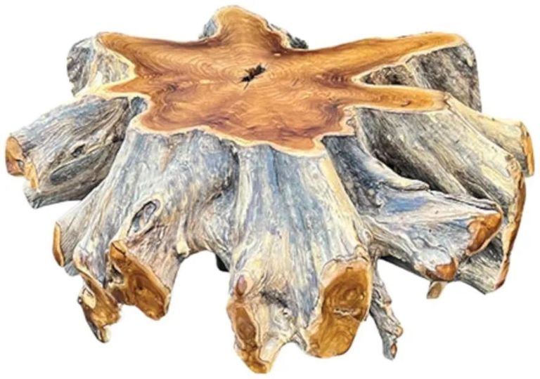 Teak Root Spider Coffee Table - Large