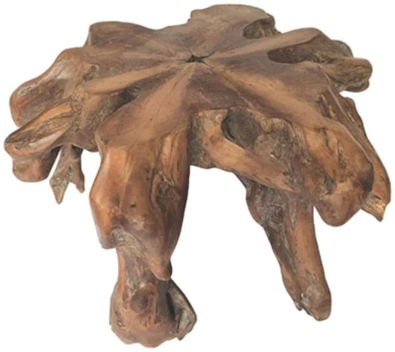 Teak Root Spider Coffee Table - Medium