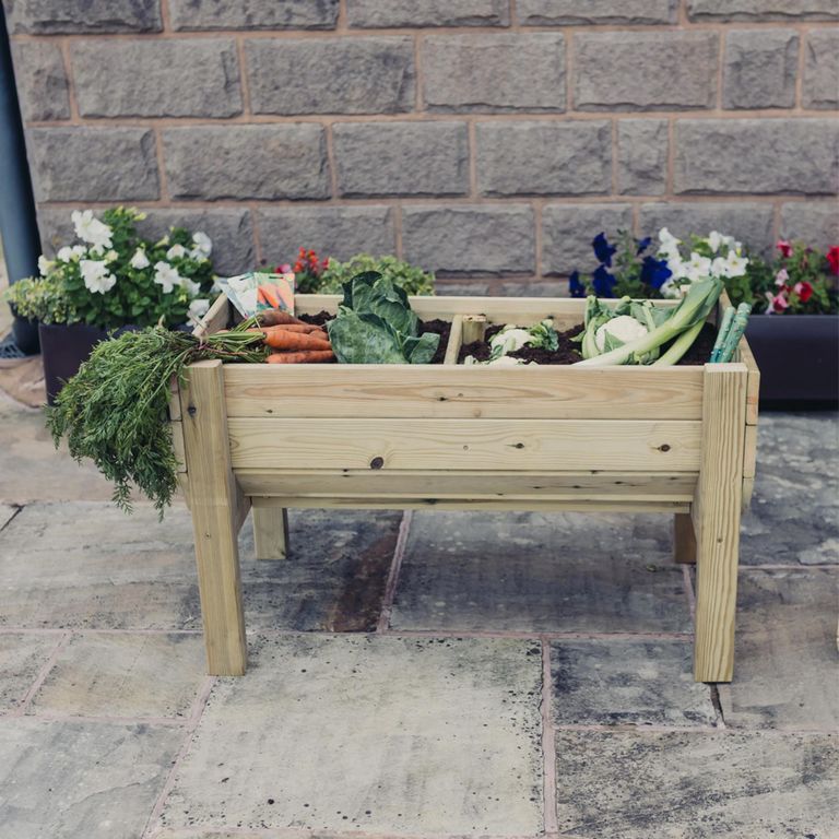 Garden Veg Trug Planter - Raised - Timber Wood