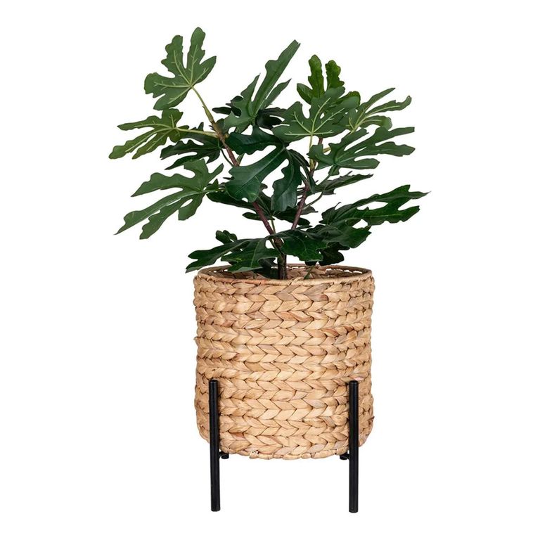 Antas Planter - Waterhyacinth - Natural