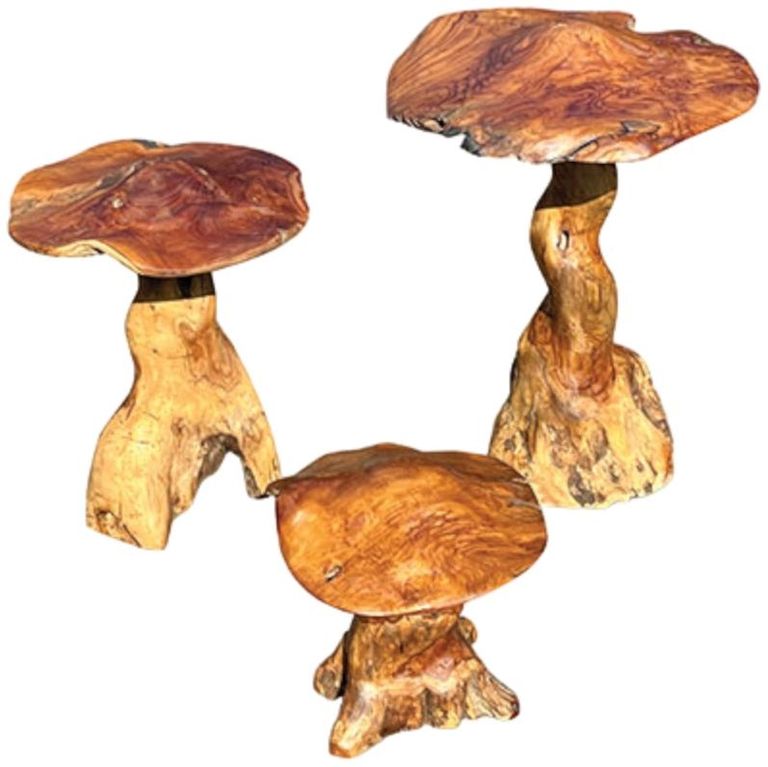 Teak Root Giant Wild Toadstools - Set of 3
