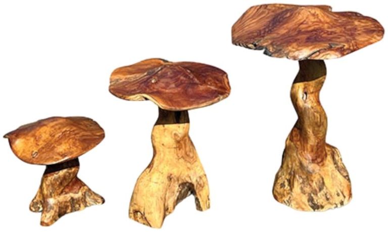 Teak Root Giant Wild Toadstools - Set of 3