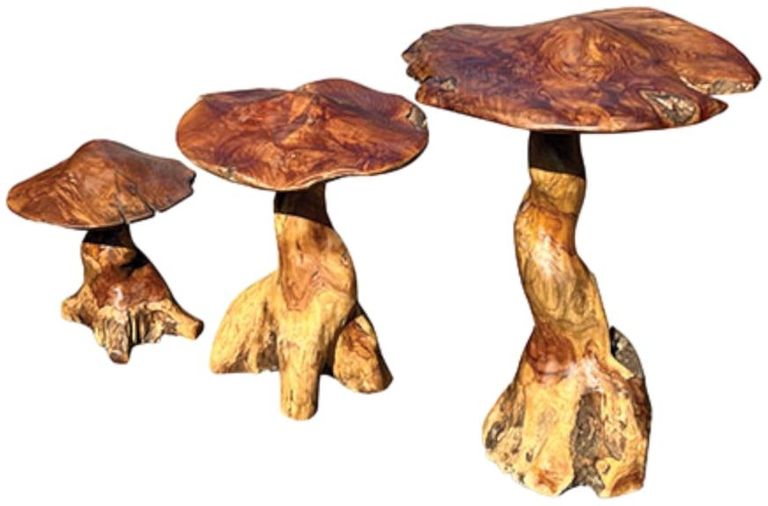 Teak Root Giant Wild Toadstools - Set of 3