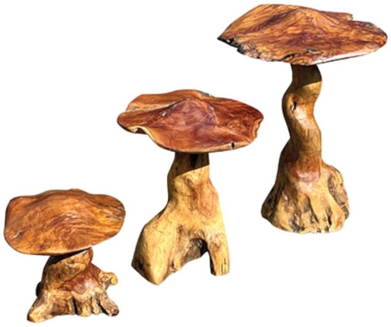 Teak Root Giant Wild Toadstools - Set of 3