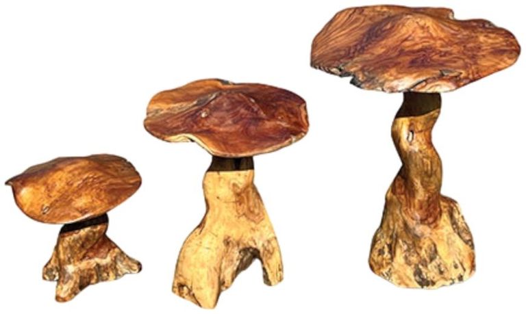 Teak Root Giant Wild Toadstools - Set of 3