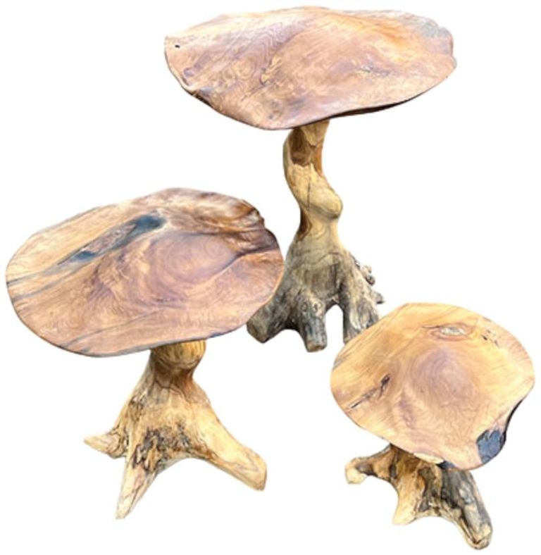 Teak Root Giant Wild Toadstools - Set of 3
