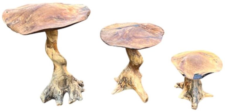 Teak Root Giant Wild Toadstools - Set of 3