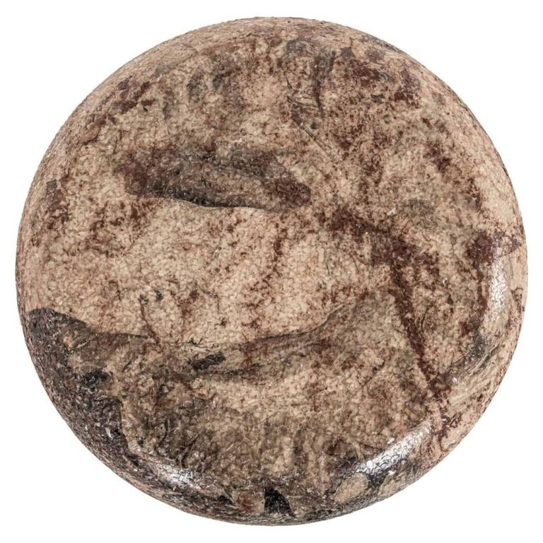 Mady Column - Round - Beige - Metal