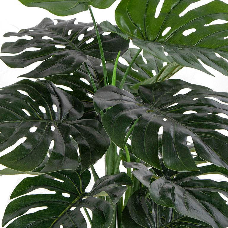 Plant - Monstera - Artificial