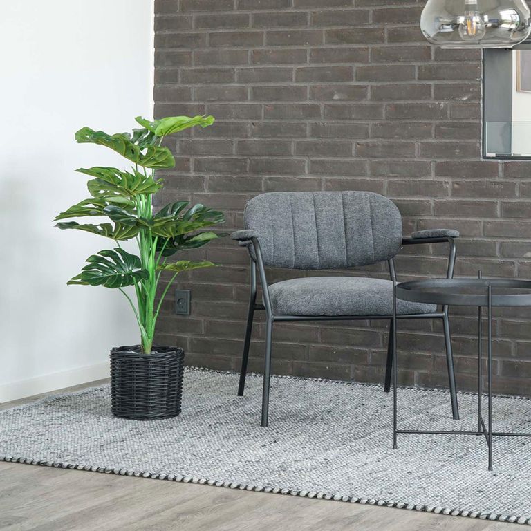 Plant - Monstera - Artificial