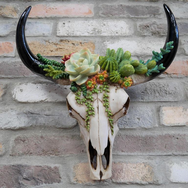 Bull Skull Wall Decoration - Set of 2 - Resin