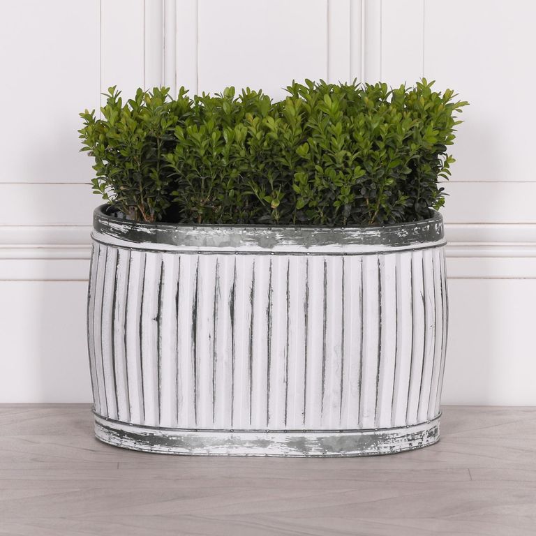 Cardiff Metal Planter - Tub - Oval - Small