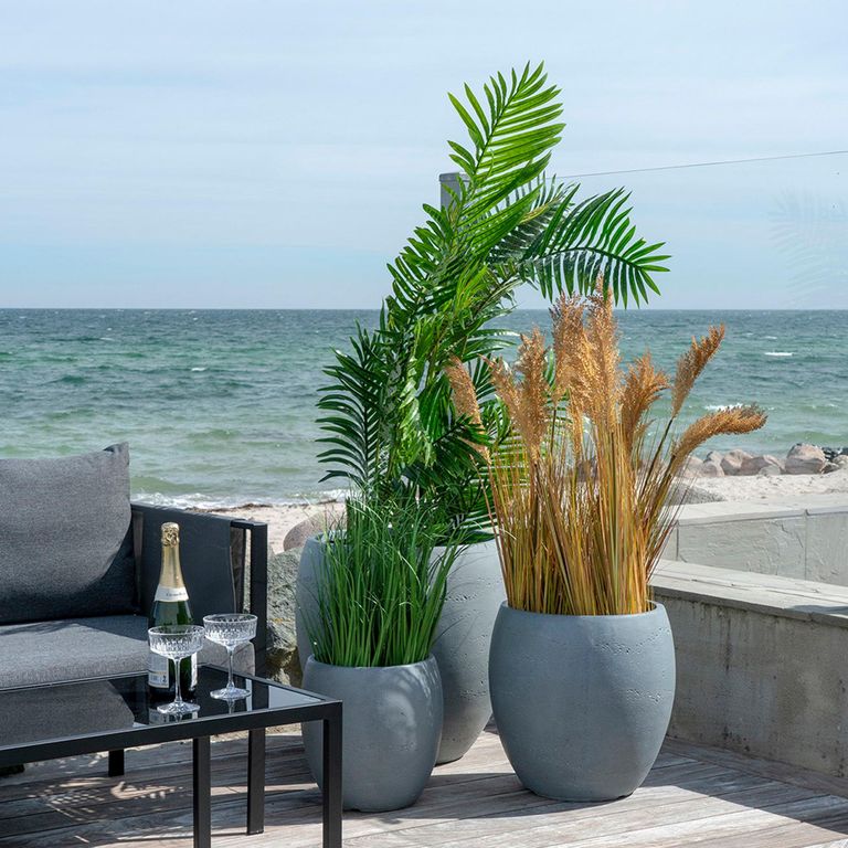 Cecilia Areca Palm - Green