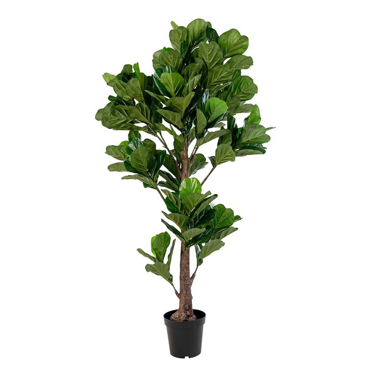Fiddle Leaf Large Tree - Green