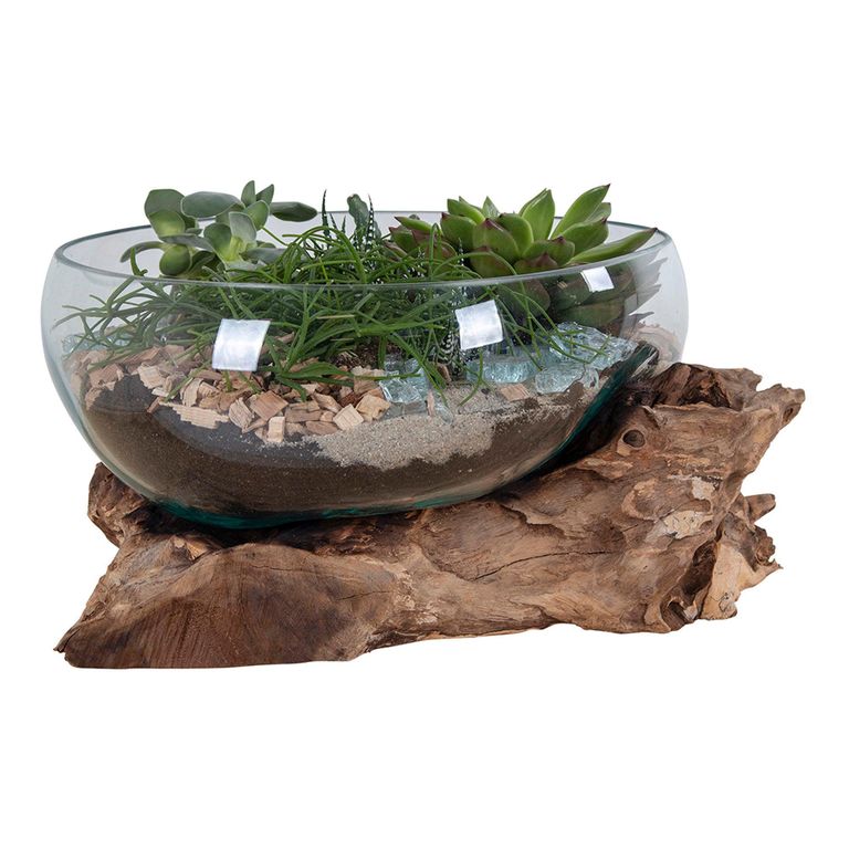 San Marino Waterdrop - Teakwood & Glass